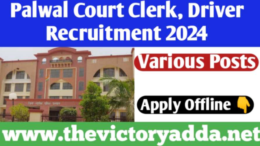 Palwal Court Clerk, Driver Recruitment 2024