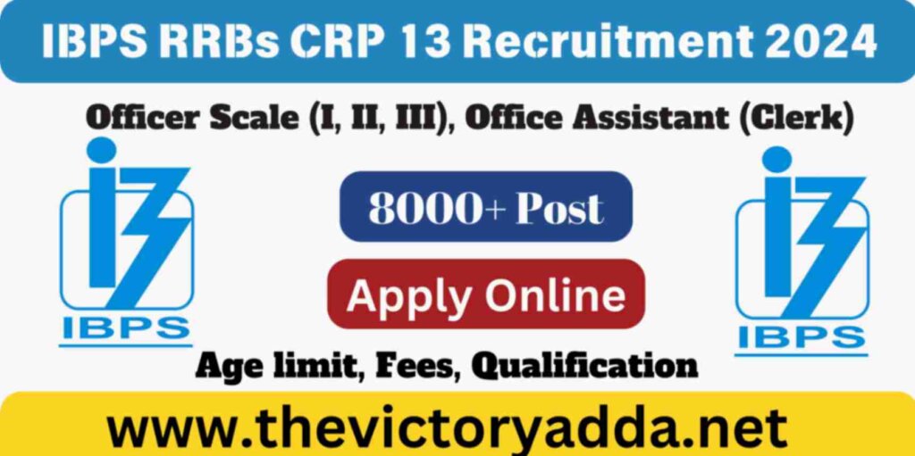 IBPS RRBs CRP 13 Recruitment 2024