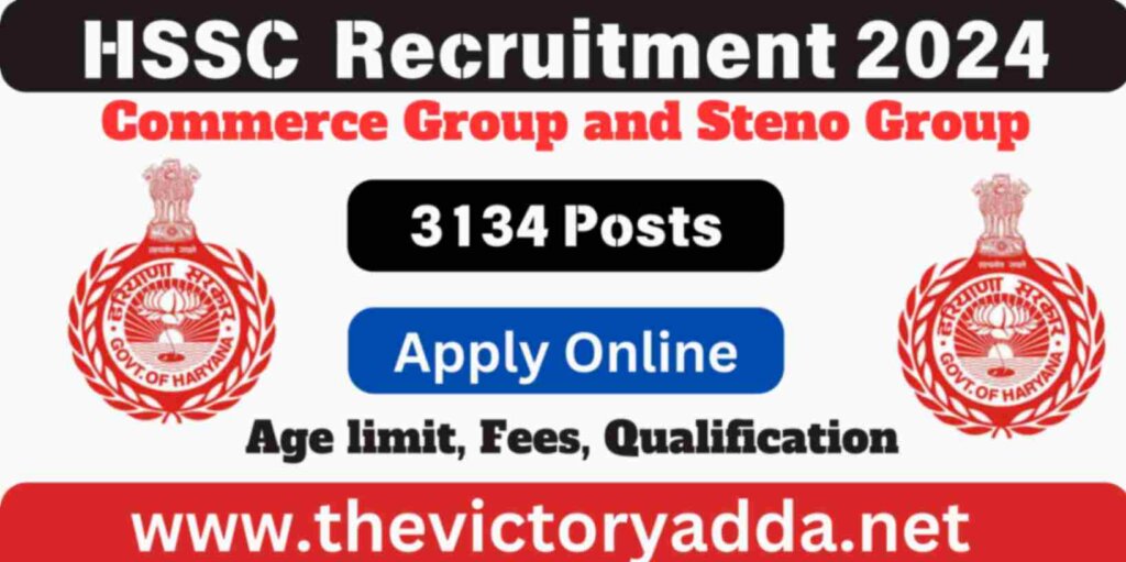 HSSC Commerce Group and Steno Group Recruitment 2024